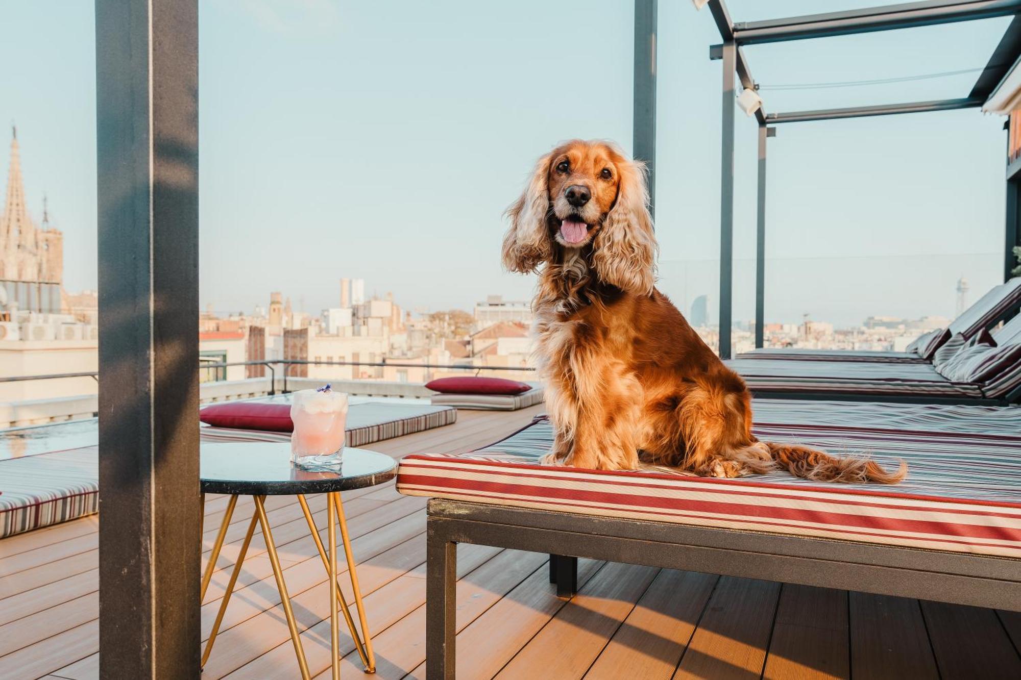 Kimpton Vividora Hotel By Ihg Barcelona Ngoại thất bức ảnh